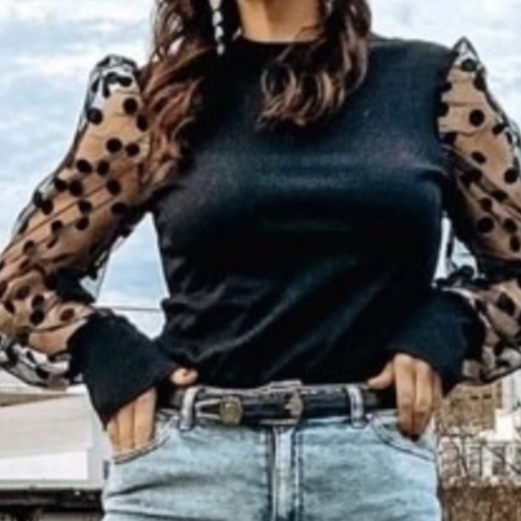 Classic Black Polka Dot Sheer Long Sleeve Fitted Blouse - Picture 4 of 11